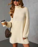 Jesiel Turtleneck Mini Sweater Dress